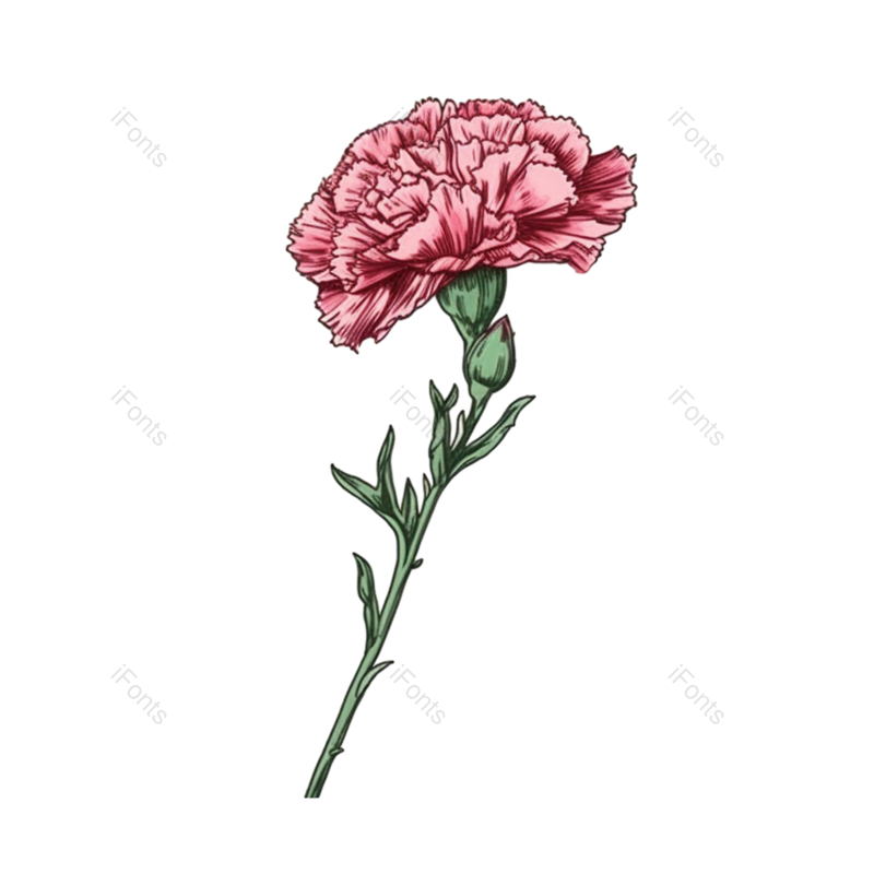 母亲节背景图片,母亲节素材元素,矢量元素PNG,免抠素材